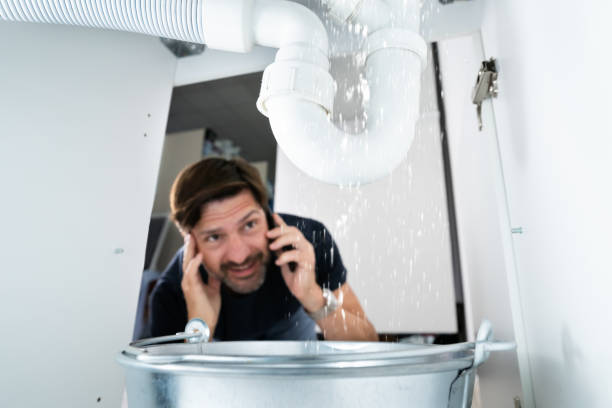 Best Plumbing Services Near Me  in Palmview, TX