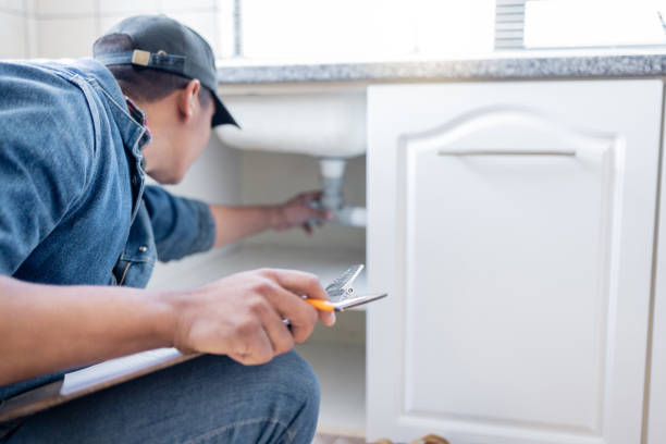 Best Same-Day Plumbing Service  in Palmview, TX