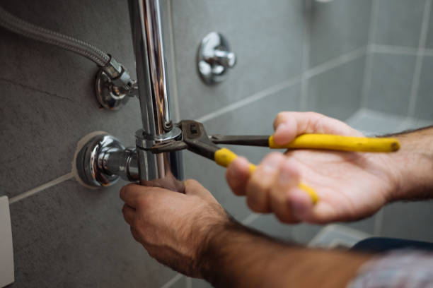 Best Local Plumber Services  in Palmview, TX