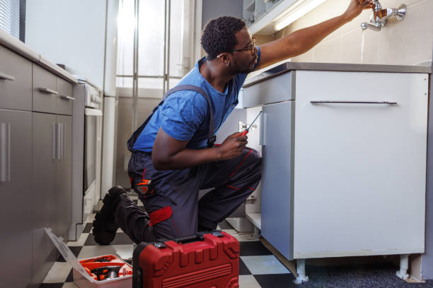 Best Plumbing Inspection Services  in Palmview, TX